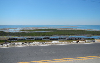 Artificial reefs from concrete blocks, called oyster castles, can decrease salt marsh erosion.